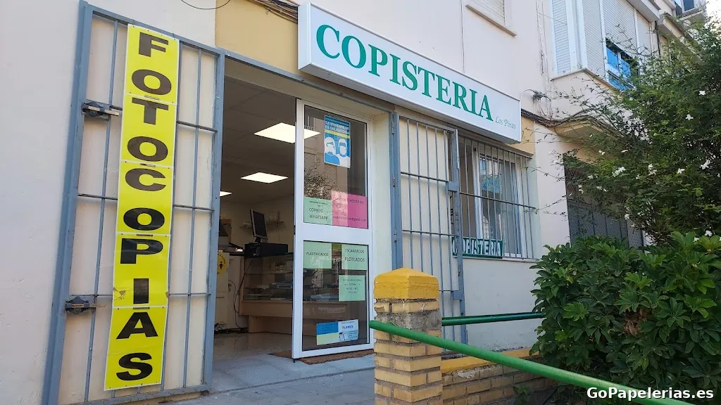 Copisteria Los Pinos - 652167321